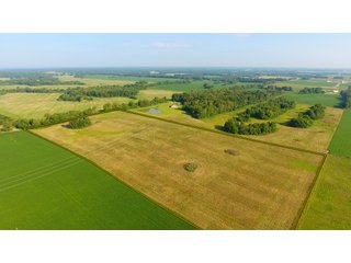 TRACT 22 - ILLINOIS LAND AUCTION - 4,810+/- ACRES OFFERED IN 85 TRACTS IN FRANKLIN, WILLIAMSON, HAMILTON & SALINE COUNTIES, ILLINOIS